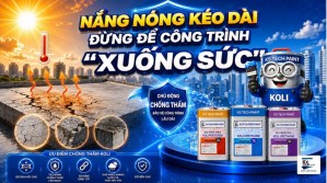 Nắng Nóng Kéo Dài: Đừng Để Công Trình “Xuống Sức”