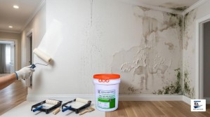 Giải Pháp Chống Thấm Tường Trong Nhà Với KOLI-AC90