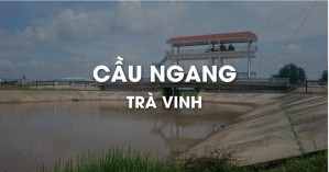 Thi công chống thấm tại Huyện Cầu Ngang, Trà Vinh