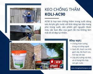 Sơn chống thấm trong suốt KOLI AC90 tại Lai Châu