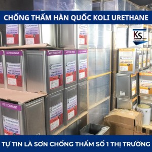 Nhà phân phối sơn chống thấm Hàn Quốc tại Quảng Nình